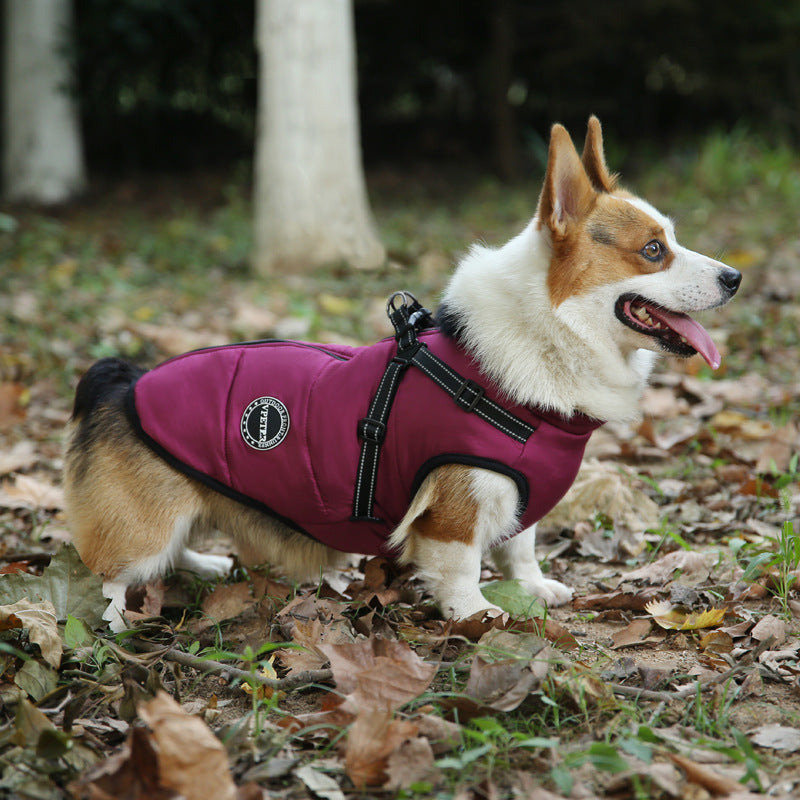 Fashion Personalized Warm Keeping Multicolor Pet Clothes